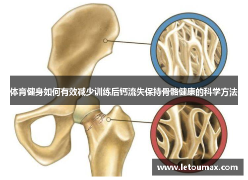 体育健身如何有效减少训练后钙流失保持骨骼健康的科学方法